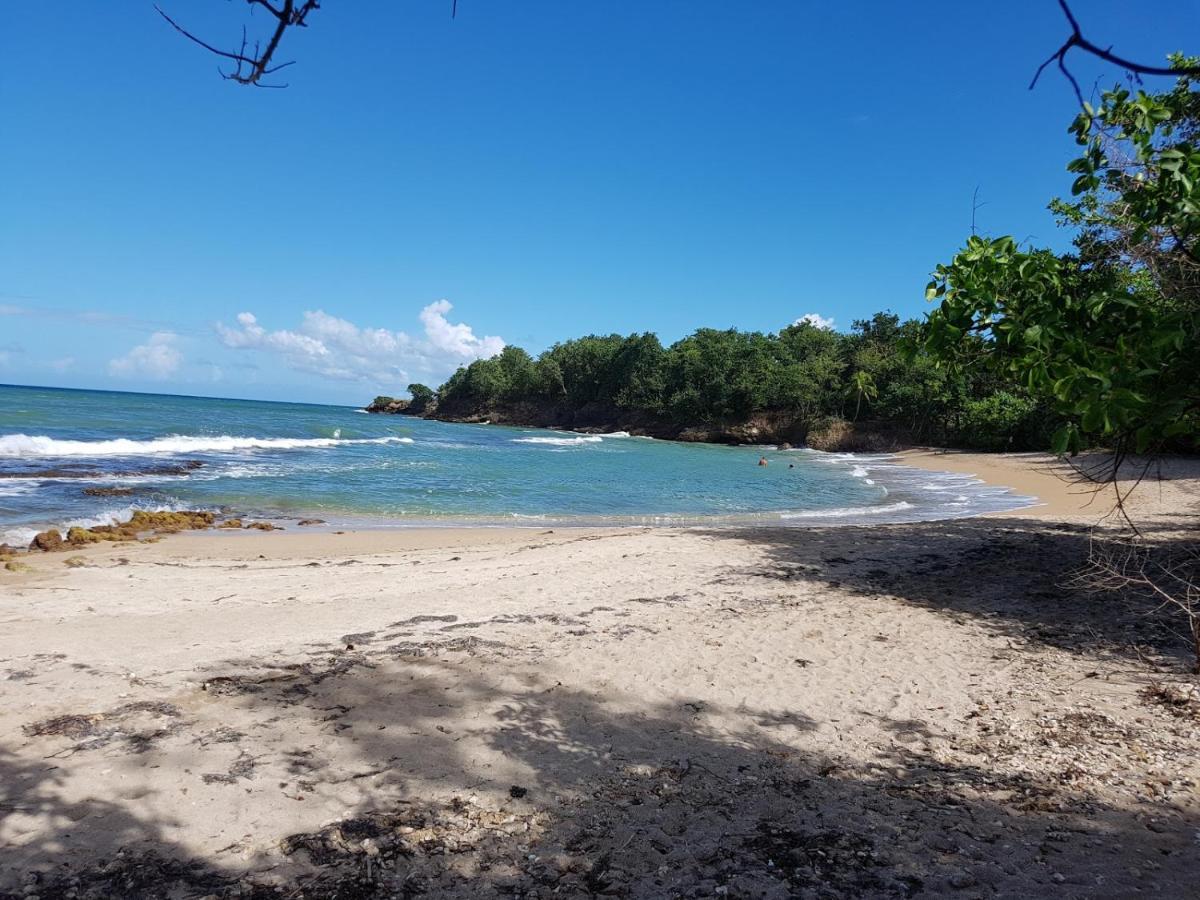 Charmante Villa Avec Acces Direct A La Mer Sainte-Rose Zewnętrze zdjęcie