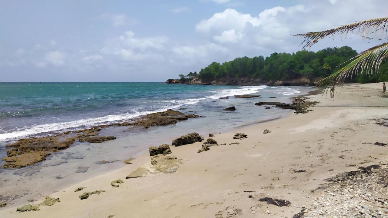 Charmante Villa Avec Acces Direct A La Mer Sainte-Rose Zewnętrze zdjęcie